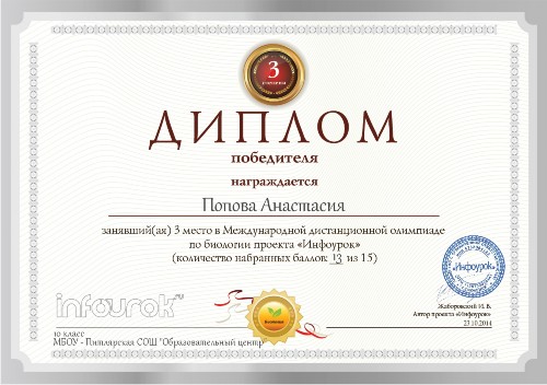 Международные конкурсы или проекты Международные конкурсы или проекты